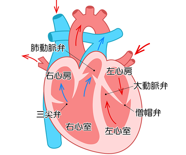 心不全